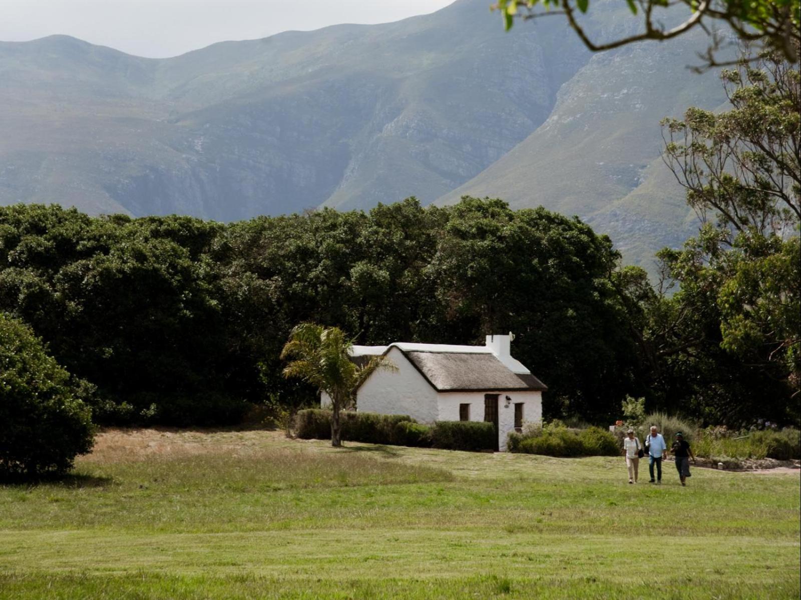 Hotel Springfontein Wine Estate à Stanford Extérieur photo