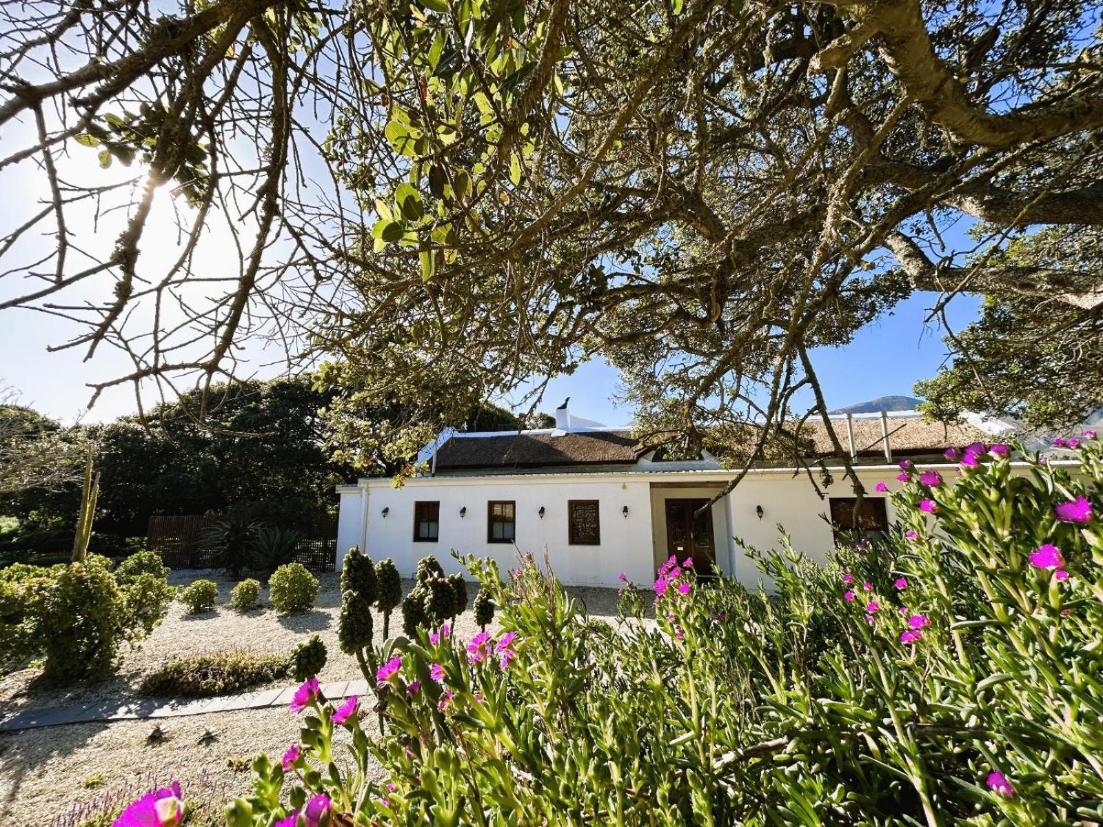 Hotel Springfontein Wine Estate à Stanford Extérieur photo